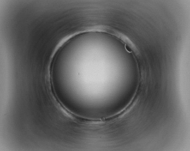 X0000114601184200910191612