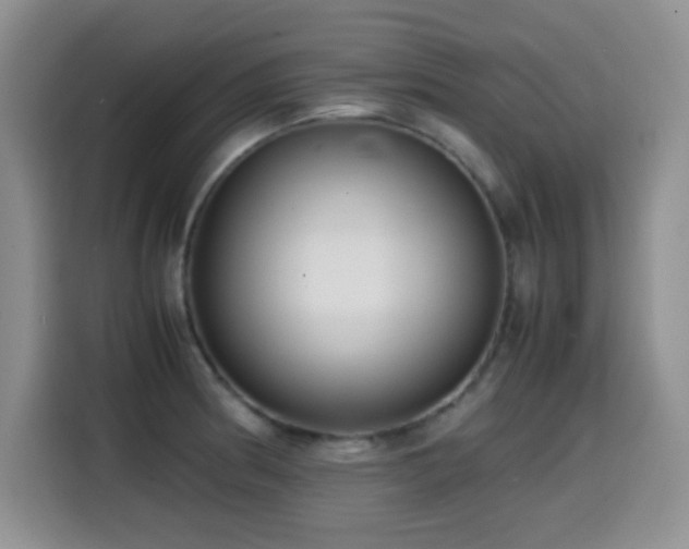 X0000114601186200910191612