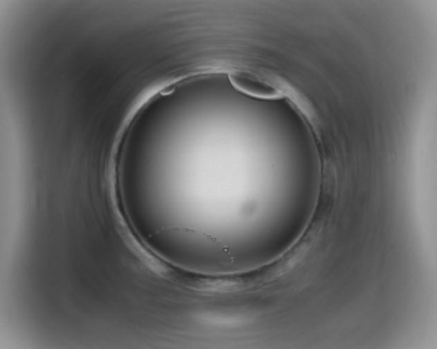 X0000114601187200910191612