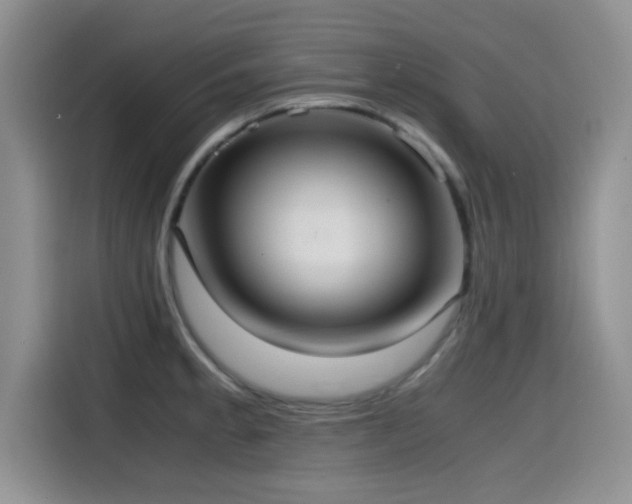 X0000114601189200910191612