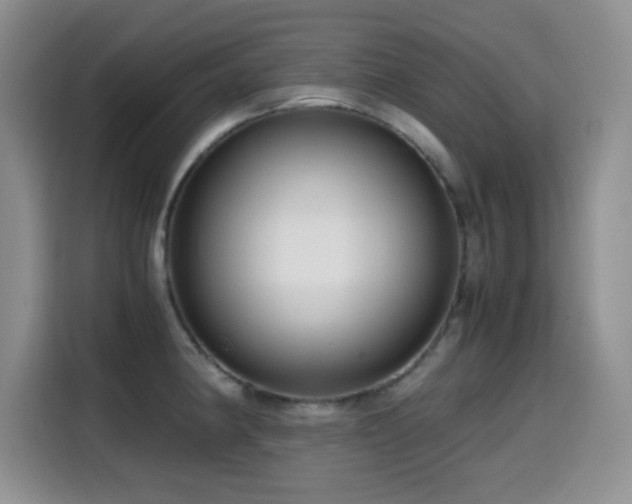 X0000114601190200910191612