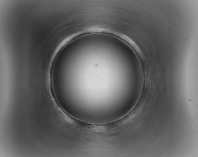 X0000114601191200910191612