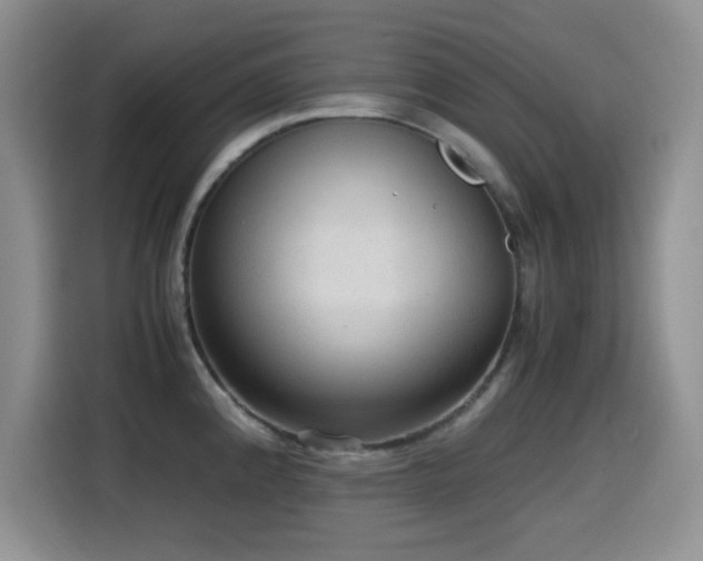 X0000114601192200910191612