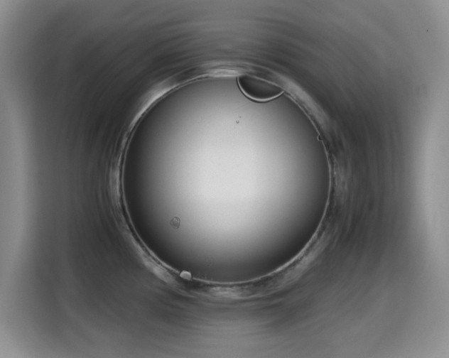 X0000114601194200910191612