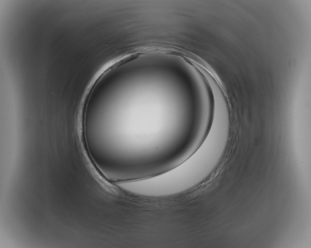 X0000114601195200910191612