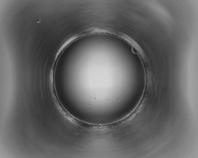 X0000114601198200910191612