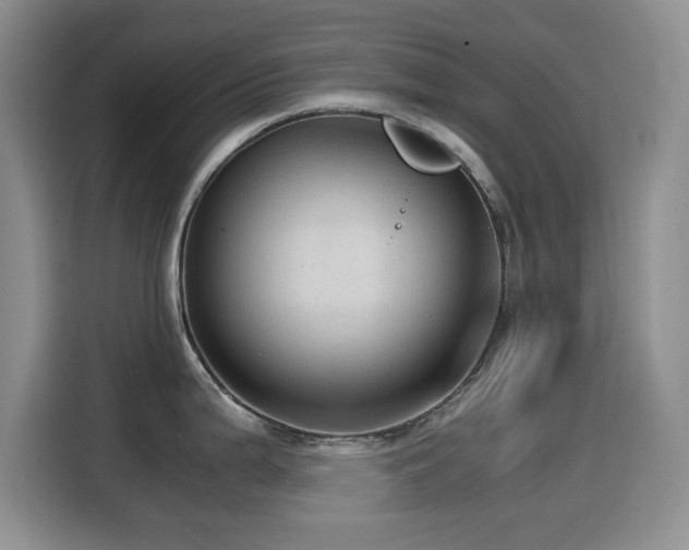 X0000114601199200910191612