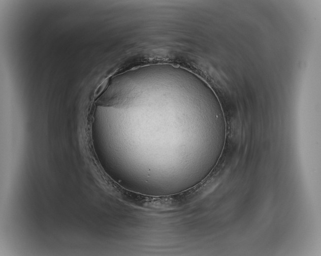 X0000114601201200910191611