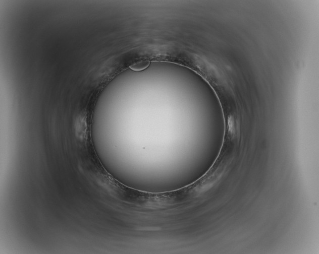 X0000114601203200910191611