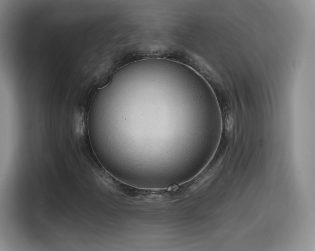 X0000114601204200910191611