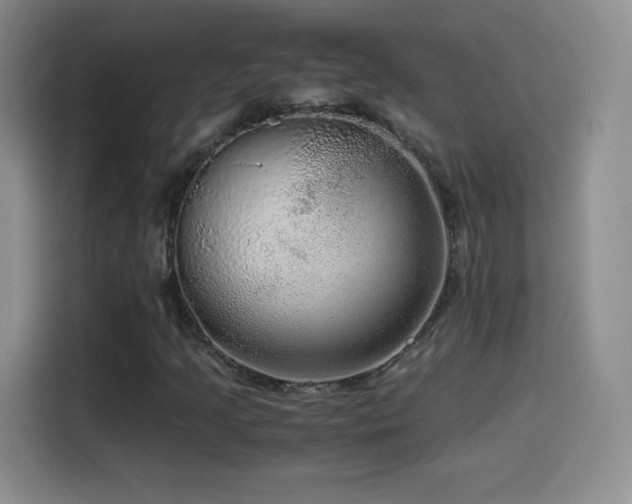 X0000114601205200910191611