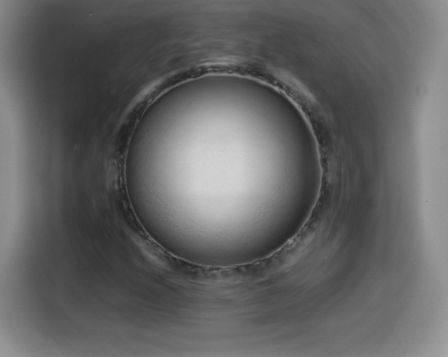 X0000114601208200910191611