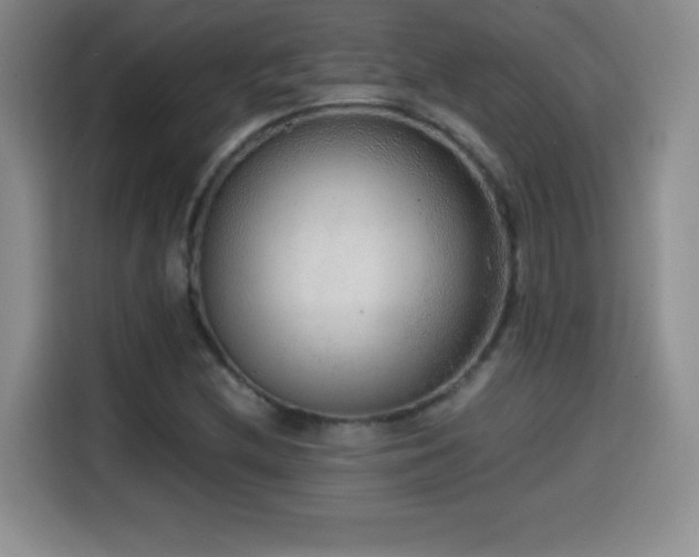 X0000114601212200910191611