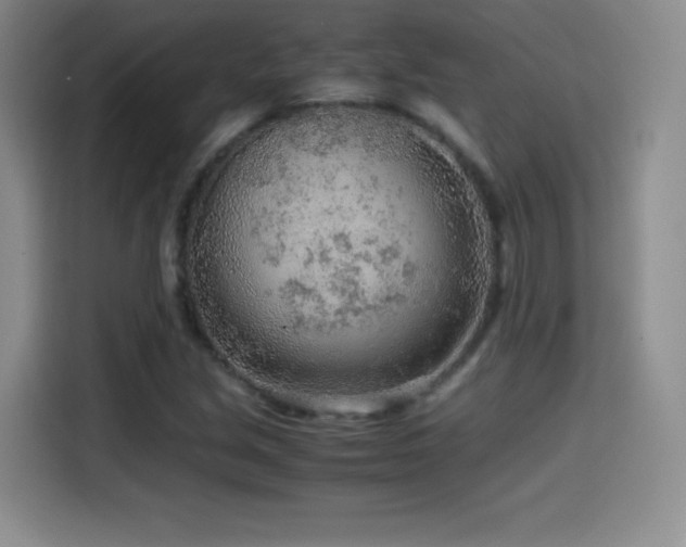 X0000114601213200910191611