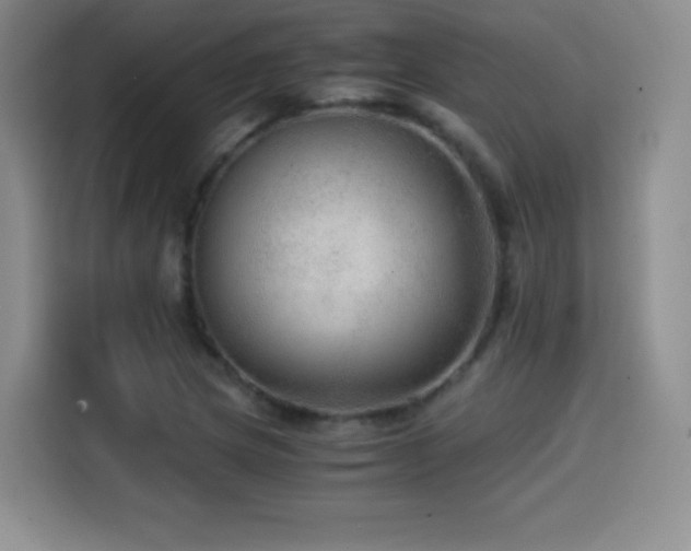 X0000114601217200910191611