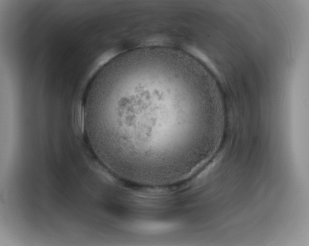 X0000114601219200910191611