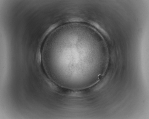 X0000114601221200910191611