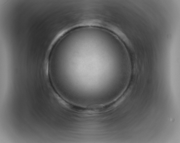 X0000114601224200910191611