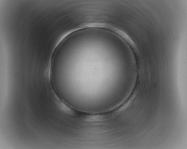 X0000114601228200910191611