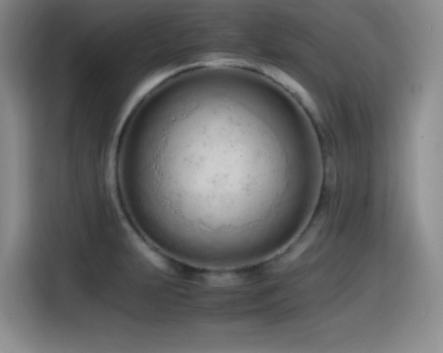 X0000114601231200910191612