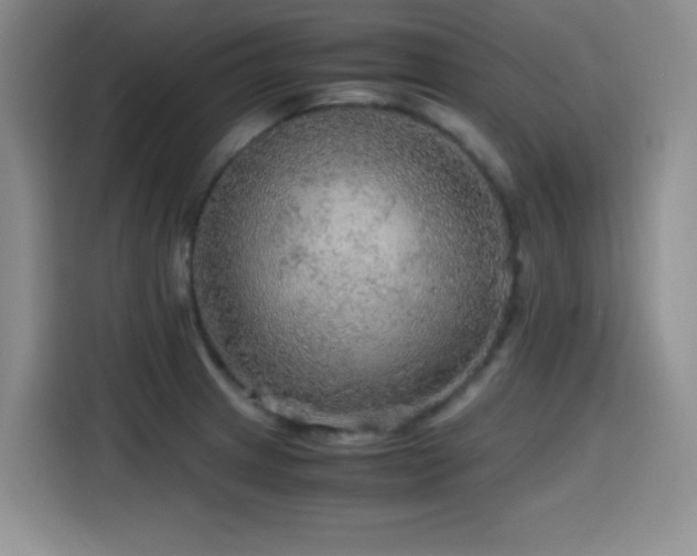 X0000114601233200910191612