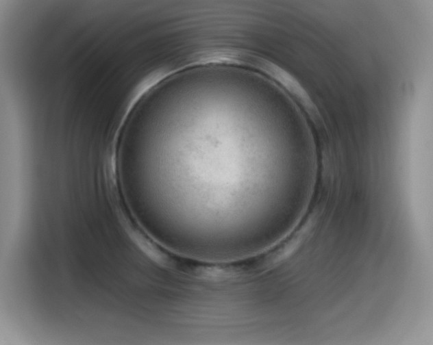 X0000114601234200910191612