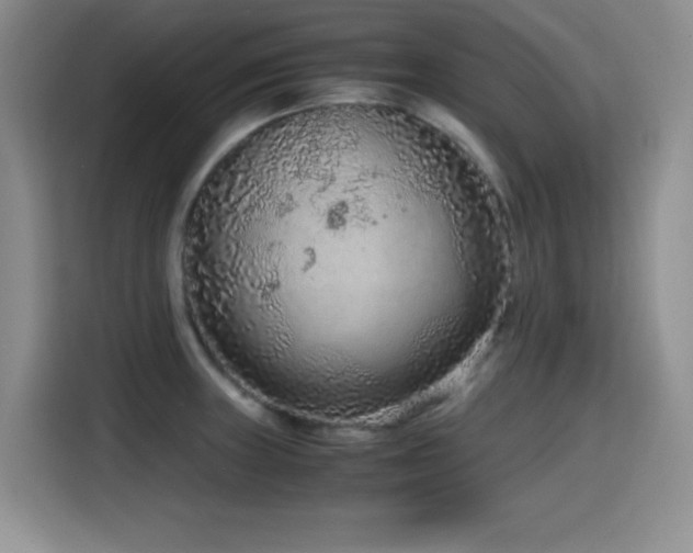 X0000114601235200910191612