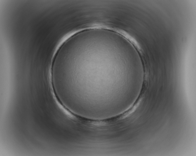 X0000114601239200910191612