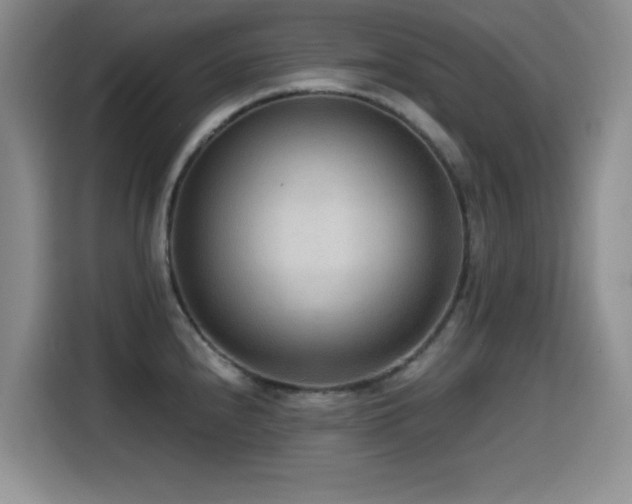 X0000114601240200910191612