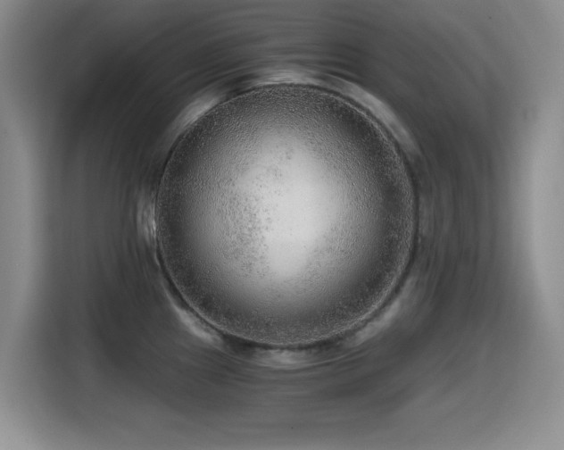 X0000114601241200910191612