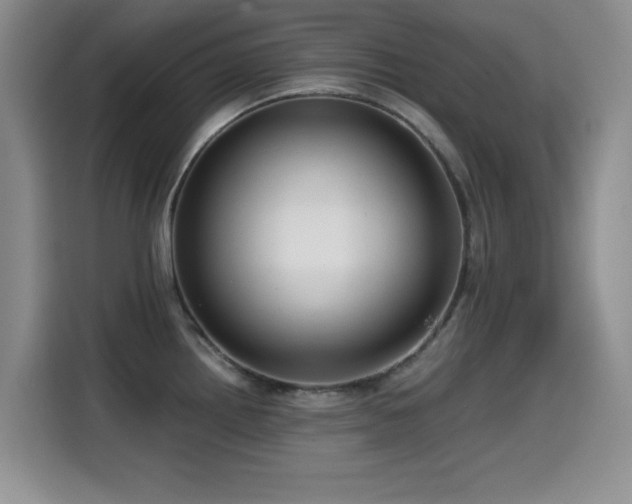 X0000114601242200910191612