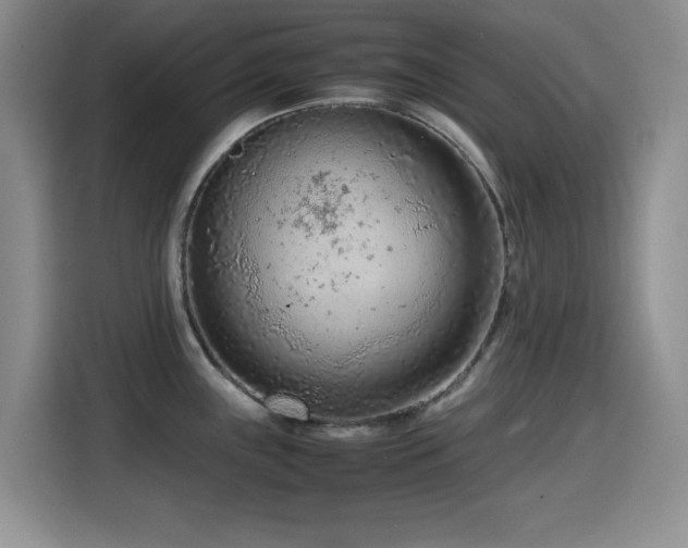 X0000114601243200910191612