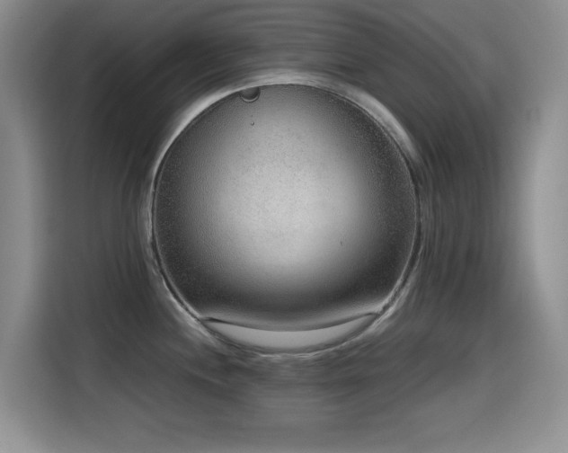 X0000114601244200910191612