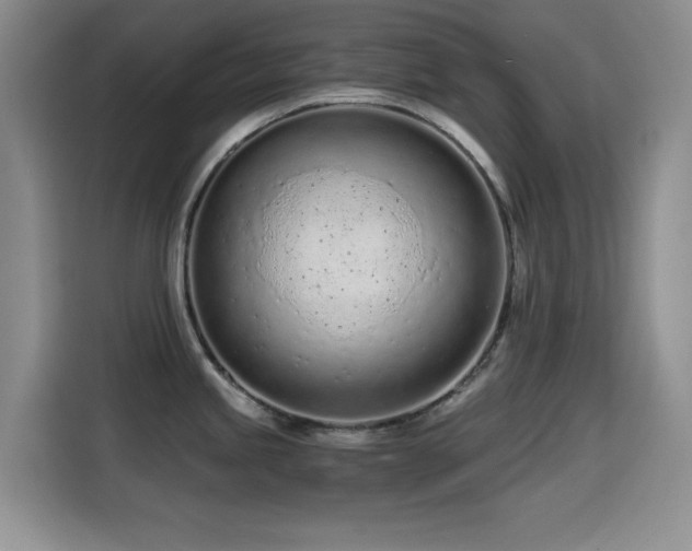 X0000114601245200910191612