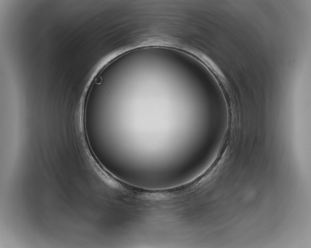 X0000114601246200910191612