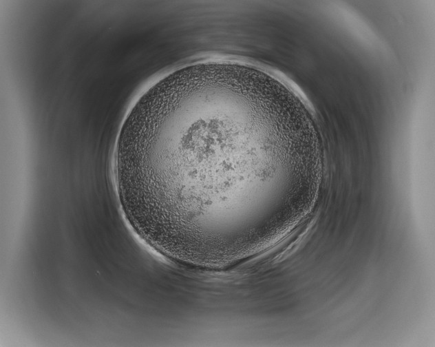 X0000114601247200910191612