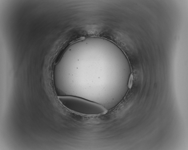 X0000114601249200910191611