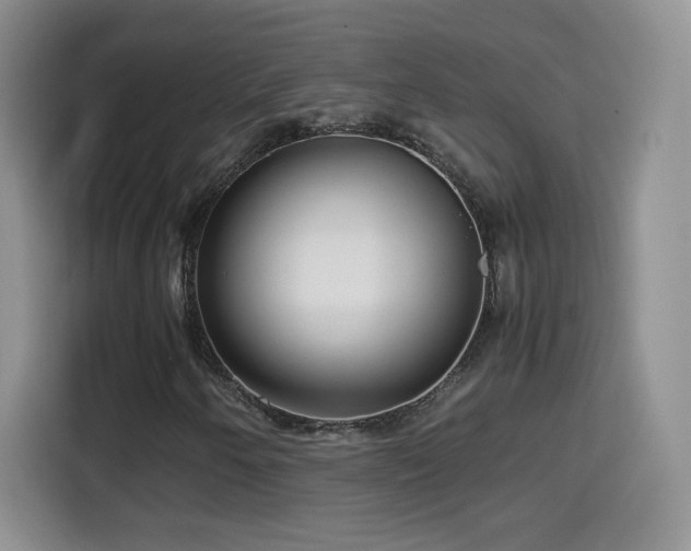 X0000114601250200910191611