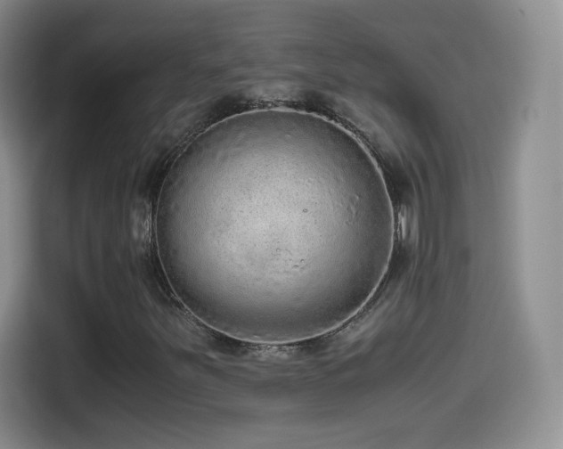 X0000114601251200910191611