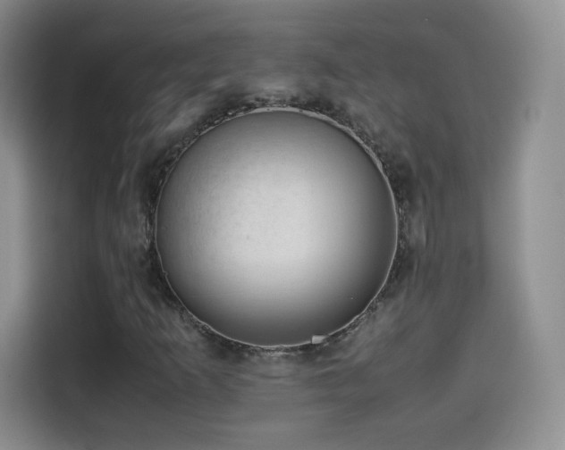 X0000114601253200910191611