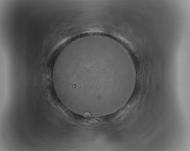 X0000114601255200910191611