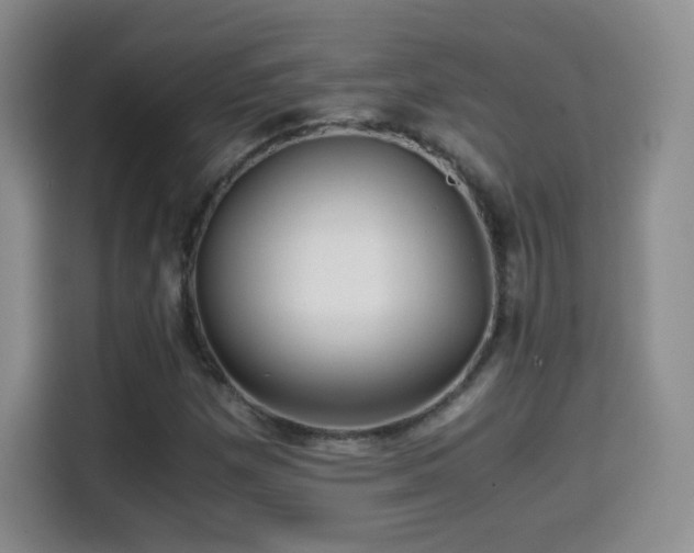 X0000114601257200910191611