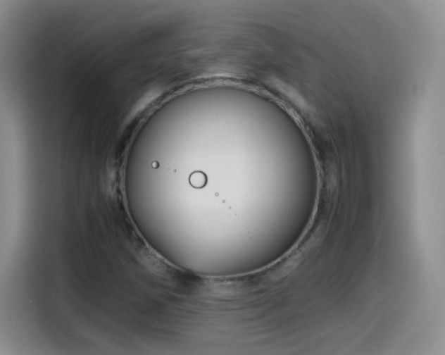 X0000114601258200910191611