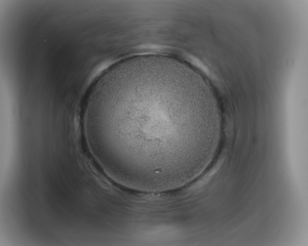 X0000114601259200910191611