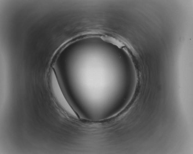 X0000114601260200910191611