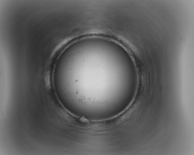 X0000114601262200910191611