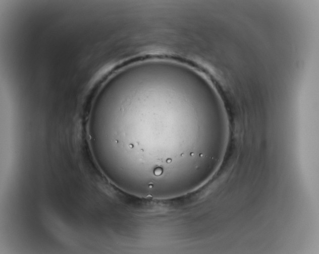 X0000114601263200910191611