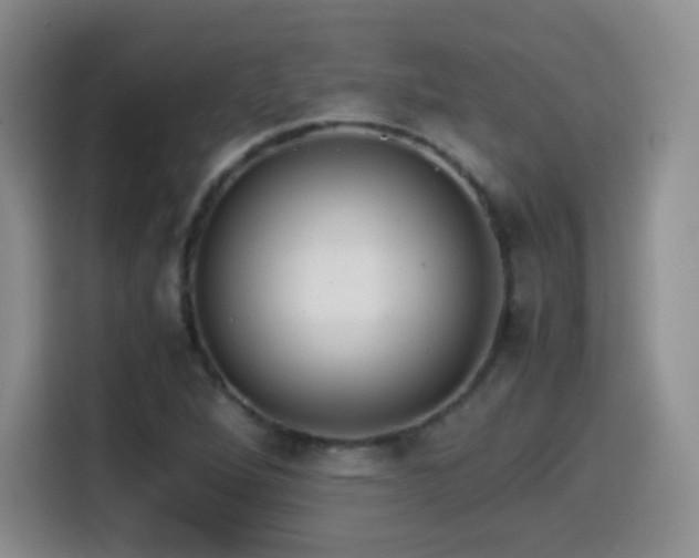 X0000114601264200910191611