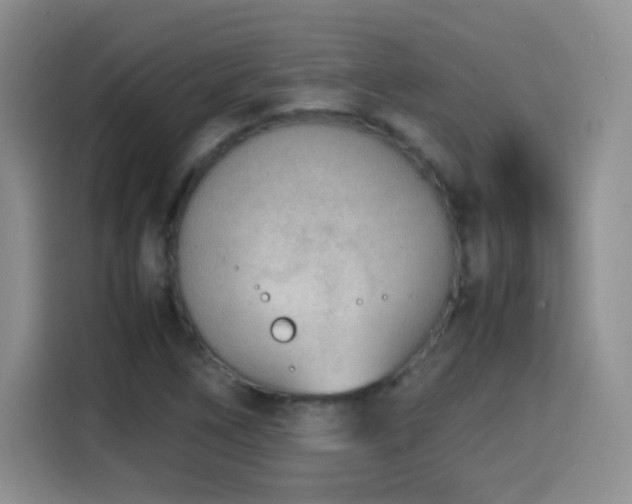 X0000114601266200910191611