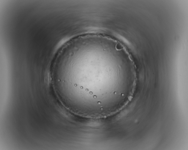 X0000114601267200910191611